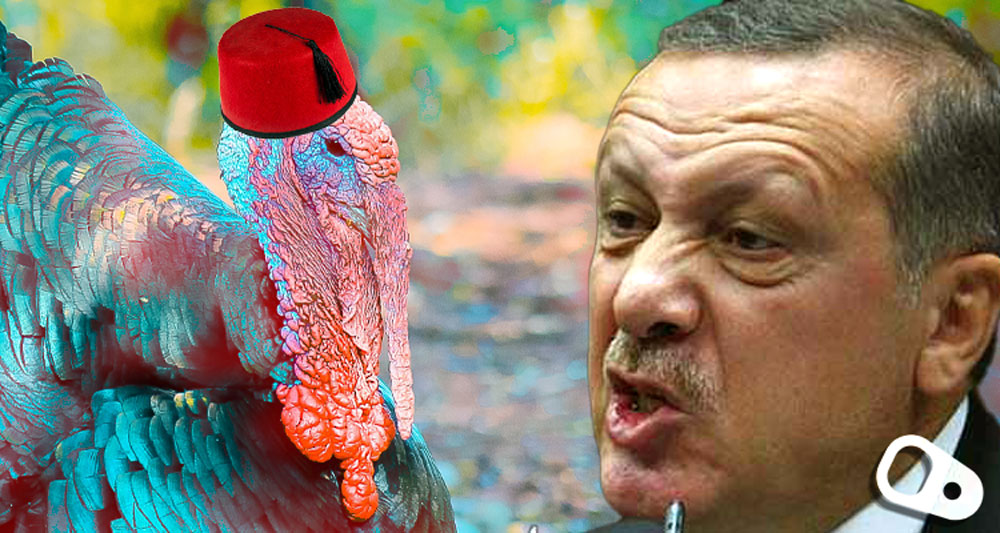 Read more about the article Έπιασε τους στόχους της η καμπάνια για την αλλαγή του ονόματος της γαλοπούλας από “turkey” σε “türkiye”