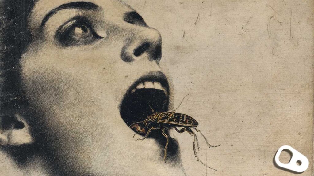 Read more about the article Κατέφυγα στην εντομοφαγία για λόγους επιβίωσης